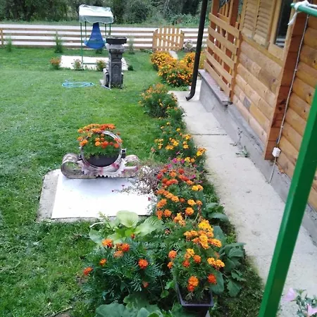 Vikendice Mijajlovic 1 בית נופש