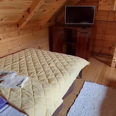 Vikendice Mijajlovic 1 Holiday home Kursumlija