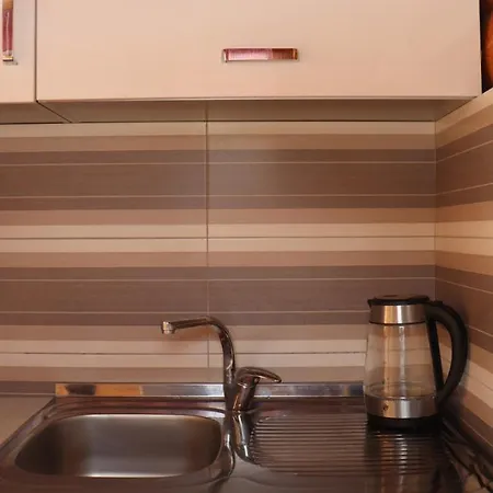 בית נופש Vikendice Mijajlovic 1 Kursumlija